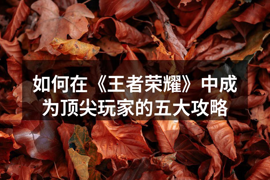 游戏角色与阵容搭配示意图